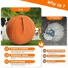 Herding Ball for Dogs, 18" Herding Ball, Suitable for Medium