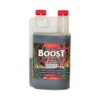CANNA Canna Boost Accelerator 250ml - Deep Skin Tone, Liquid,