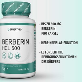 Perpetual Nutrition Berberine HCL High Dose 500mg Capsules Pack of 120 - Berberis Vulgaris Supplement - Extract for Cholesterol and Heart