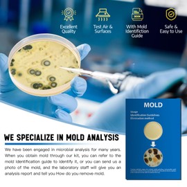 Mold Test Kit for Home -DIY Mold Testing Kit with 12 Individual Tests-Black Mold Detector-Indoor Air Quality Tester-Mold Identification Guide-Free Lab Analysis-Fast and Reliable Mold Detector at Home