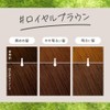 Liese Kao Bubble Hair Color - Royal Brown for Black