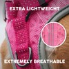 Embark Sports Dog Harness, No Pull Dog Harness with 2