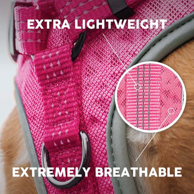 Embark Sports Dog Harness, No Pull Dog Harness with 2