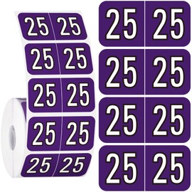 Teling 500 Pcs 2025 Year Stickers File Folder Year Labels Rectangle Coded Colored Year Stickers Self Adhesive Year Labels Tab File Folders Office Supplies, 1 Roll(Purple, White)