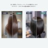 Rim Natural HAIR-COAT PRO Hair Coat Pro Hair Styling Agent,