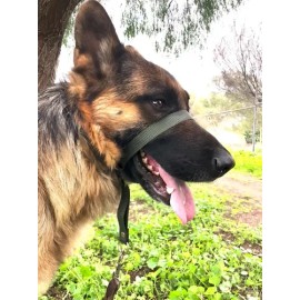 Collar Perro Halter, Gentle Leader, Halti, Uso Profesional Color Verde Militar Tamaño del collar Extra grande