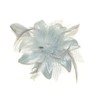 Bride Boutique Wedding Races Prom Feather & Net Flower Design