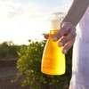 THE JOJOBA COMPANY Australian Jojoba Oil For Face & Body