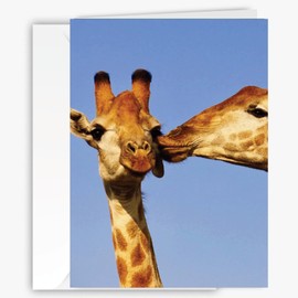 Cute Giraffe Greeting Card – Romantic & Funny Animal Card for Love, Friendship, Birthdays & Anniversaries - Animal Greeting Card, Larger Size with Backside Image & Blank Inside - Unique All Occasion Card for Nature & Animal Lovers - 90210 Exotics
