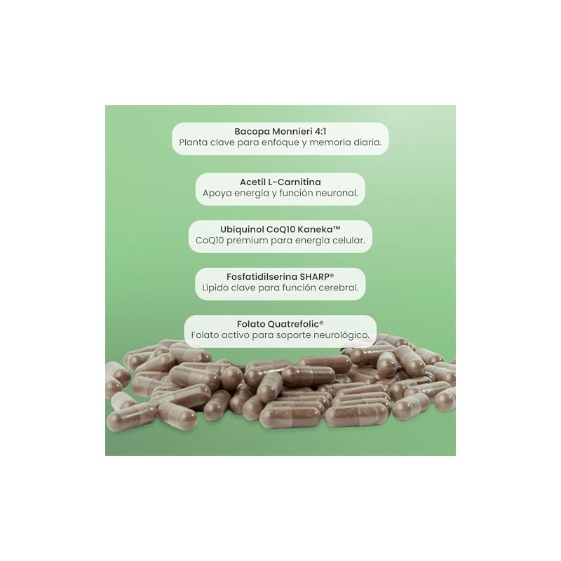 Matter Brainy, Suplemento con Bacopa Monnieri, Ubiquinol CoQ10 Kaneka™, Fosfatidilserina