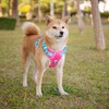 PHOEPET No Pull Dog Vest Harness with Unique Colors，Adjustable Reflective