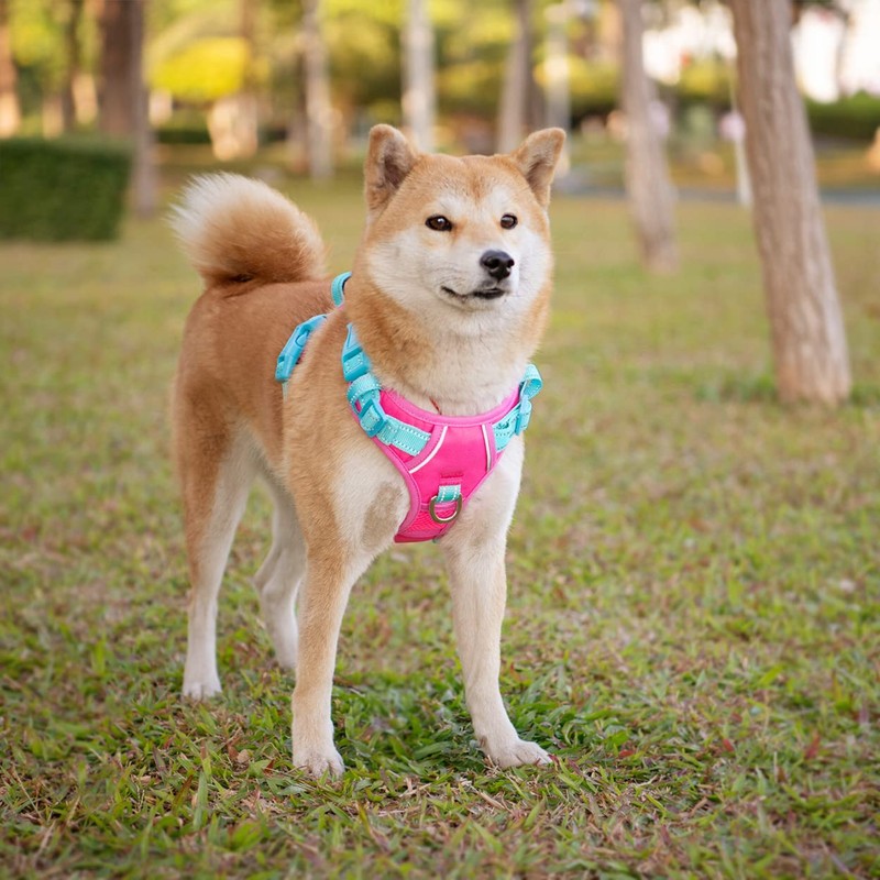 PHOEPET No Pull Dog Vest Harness with Unique Colors，Adjustable Reflective