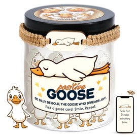 Positive Goose Jar with 60 Affirmation Cards, Emotional Support Goose, Goose Gifts, Goose Gifts For Women Teens, Desk Goose, Positive Goose, Silly Goose, Mental Health Gifts, Funny Gifts, Gag Gifts