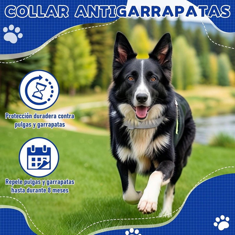 3Pcs Collar para Perro,Todo Natural Collar para Perro Impermeable y