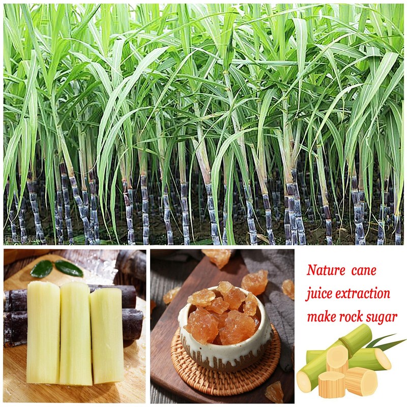 Yellow Rock Sugar 350g/12.35oz, Large Pure Cane Crystal Sweetener for