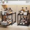 Under Sink Organizer, 2-Tier Pull Out Cabinet Organizer, Kitchen Bathroom