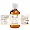 Greenwood Essential Pure Pine Essential Oil (Pinus sylvestris) 100% Natural