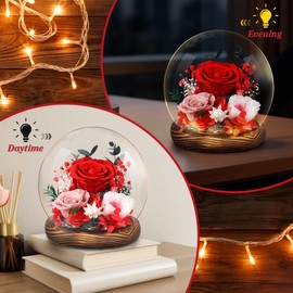 Gifts for Women, Preserved Flowers in Glass Dome, Real Forever Roses Gifts for Wife Sister Girlfriend on Birthday Valentine Day Mother Day(Red)