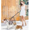 Triple Dog Lead Leash Dog Lead for 3 Dogs Dog