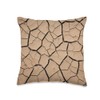 Dry Cracked Ground Design Throw Pillow