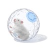 7.9 inch Hamster Ball, Hamster Exercise Toys, Running Ball, Clear