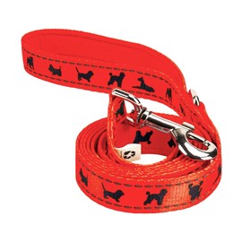 EcoBark Dog Leash - 4 FT / 5 FT / 6 FT Reflective Dog Leash- Eco-Bright Dog Leashes with Padded Handle - Strong Heavy Duty Dog Leash - Nylon Dog Leash for Medium and Large Dogs (Orange Dog Leash)
