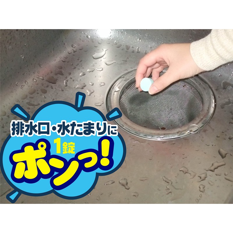 排水口 コバエ退治 ヌメリとりプラス 3錠入り