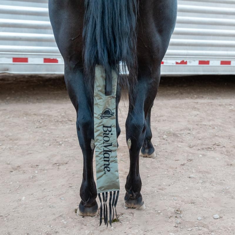 Tailbag - Color: Brown
