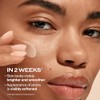Shiseido Protector Solar Urban Environment Vita-Clear Fps 42 - Fórmula