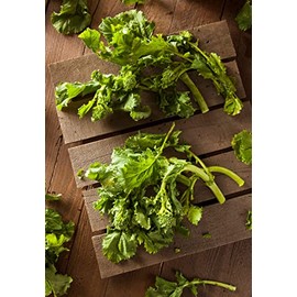 “Spring Rapini” Broccoli Raab Seeds – Fast-Growing Early Broccoli Raab – Harvest in 60 Days | Never GMO, Always Heirloom and Open-Pollinated | USA Grown Seeds by Liliana's Garden |