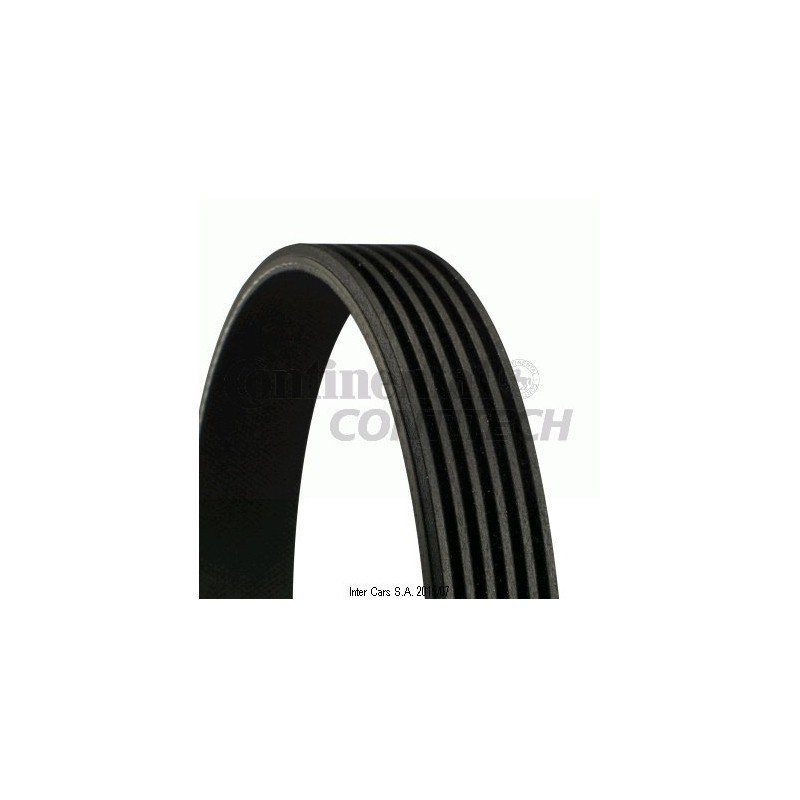 CONTITECH 6PK1520 V-Ribbed Belt
