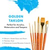 Real Value Brush Set Synthetic Gold Taklon-Rnd 1,6,12,Liner 2,Ang 1/2,Wash