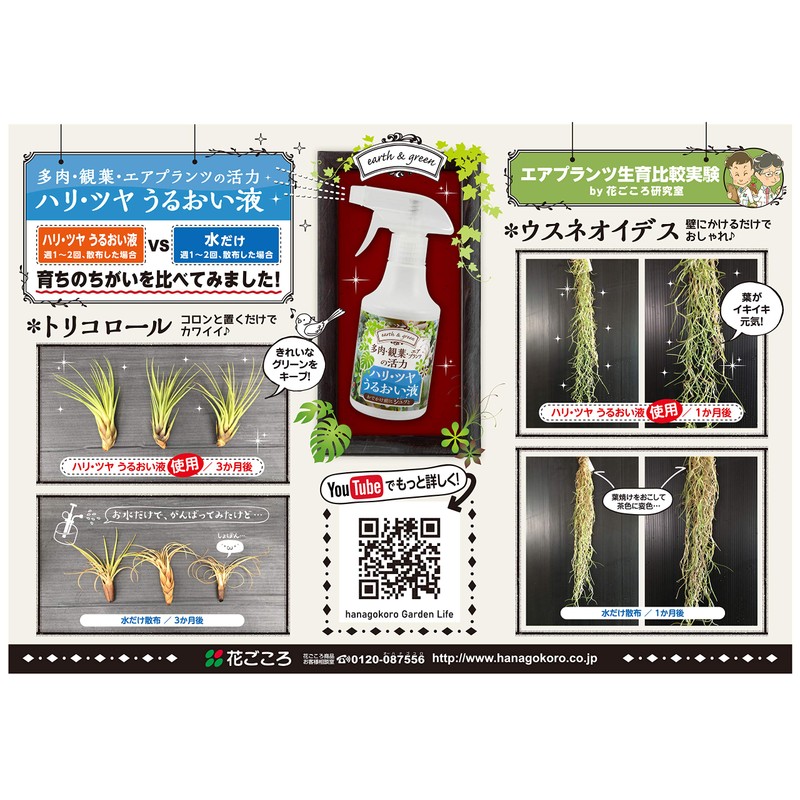 Hanagokoro Succulent & Air Plants Vitality Hari Gloss Moisturizing Liquid,