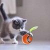 Interactive Cat Toy - Cat Toy Ball Electric Indoor Cat