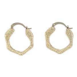 Earrings Stardust Textured Gold Plated Hoop Earrings