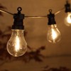NOMA Connectable Bulb Festoon Garden Lights, 10 Warm White LED's,