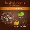 Saraya Washbon Prime Foam Herbal Citrus Refill, 16.9 fl oz