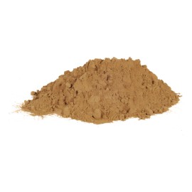 Hongo Cordyceps Orgánico Bolsa De 1 Kg Aumenta Resistencia