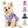 Purple No Leash Dog Harness - Breathable, Adjustable, No Pull