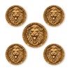 Lion of Judah Challenge Coin - 5-Pack Religious Coins with