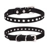 Bling Crystal Dog Collar with Leash Set Cute Rhinestone Bone