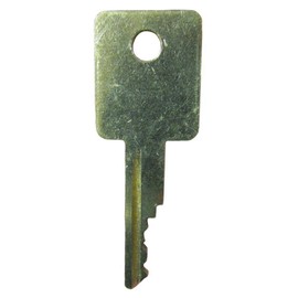 LEFITPA Replacement 58917261 Ignition Key Stamped D250 for Case IH ELI80-0126 6693241 6709527 A77313 for Bobcat S220 S250 S300 S330 A220 A300 T250 T300 T320 Industrial Construction Models