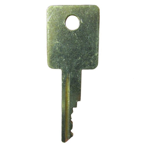LEFITPA Replacement 58917261 Ignition Key Stamped D250 for Case IH