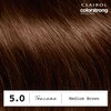 Clairol ColorStrong Permanent Zero Ammonia Hair Dye, 5.0 Medium Brown