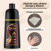Shampoo Con Tinte Hair Dye Natural Jengibre Para Cubre Canas