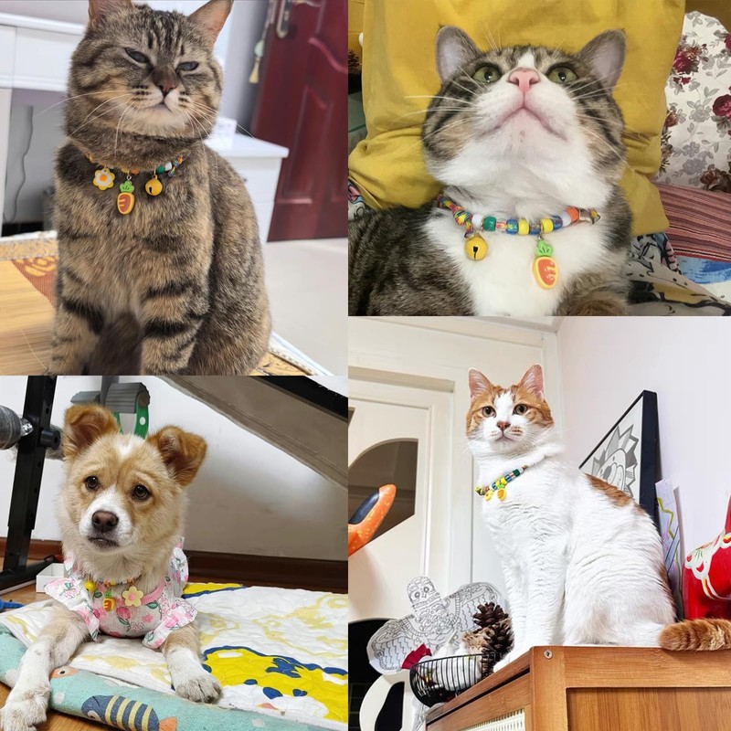 Hjvvr Cat Collar With Bell,Breakaway Pet Collar,Yellow Theme Carrot Collar