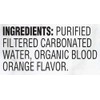 Langers Organic Flavored Sparkling Water, Blood Orange, 12 Ounce (Pack