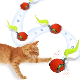 MERNEUO Interactive Cat Toy Balls, Motion Activated Rolling Ball with Type C Cord and Tail, Automatic Toy Balls for Cats and Dogs (Reddish Orange)