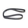 CONTITECH 6PK1448 V-ribbed belt