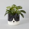 balvi Kitty Flower Pot Colour Black and White Original Flower